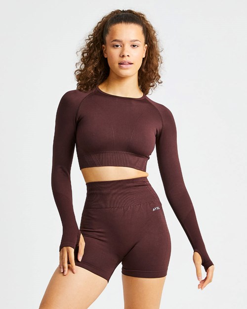 AYBL Balance V2 Seamless Long Sleeve Crop Top Choklad Bruna | 1304-KZVNP