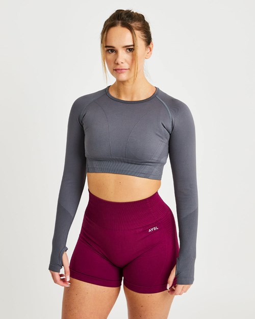 AYBL Balance V2 Seamless Long Sleeve Crop Top Grå | 8316-IAWCG