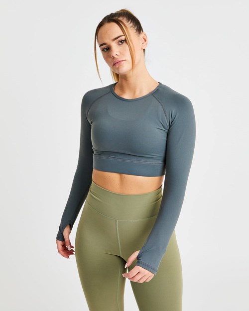 AYBL Core Long Sleeve Crop Top Grå | 6914-YLWRP