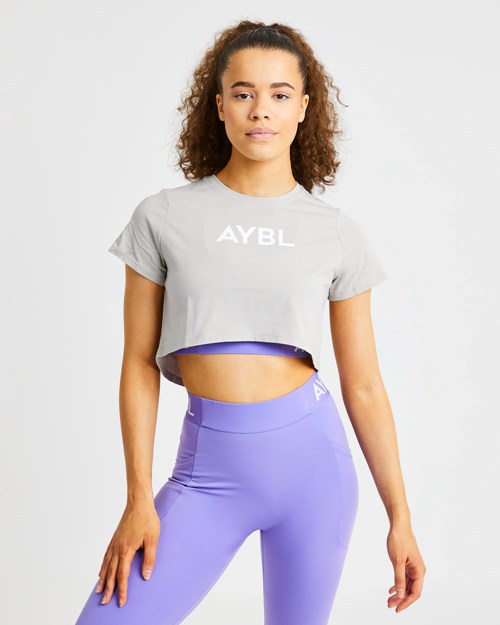 AYBL Crop T Shirt Grå | 2305-ZIJMD