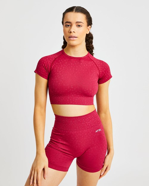 AYBL Evolve Speckle Seamless Crop Top Raspberry | 4275-MJSUL