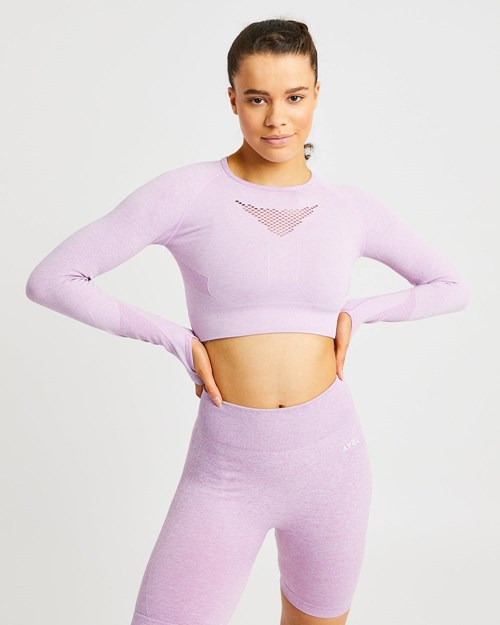 AYBL Motion Seamless Long Sleeve Crop Top Rosa | 5274-QGSMI