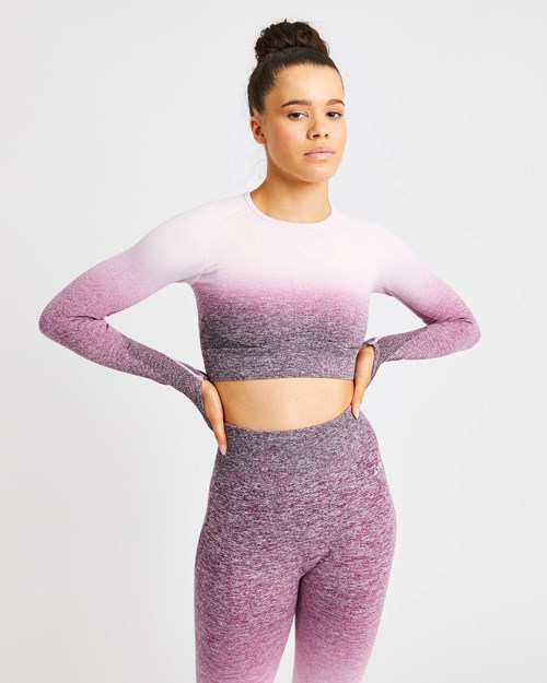 AYBL Pulse Ombré Seamless Long Sleeve Crop Top Plum | 6531-GAWSN