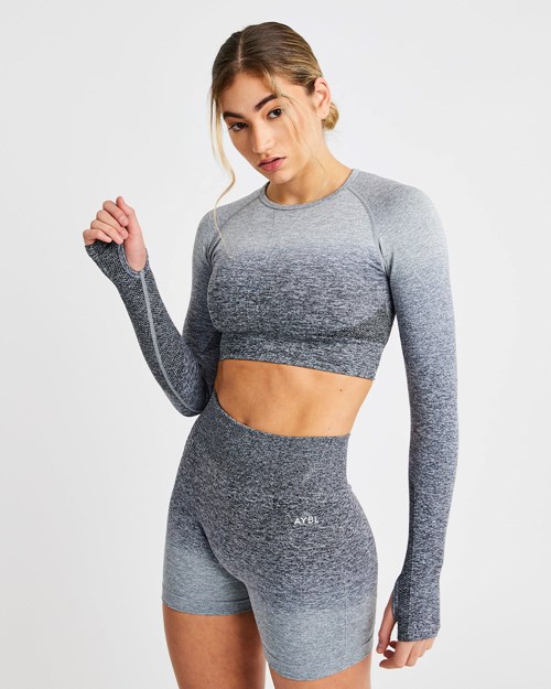 AYBL Pulse Ombré Seamless Long Sleeve Crop Top Grå | 6729-WMROY