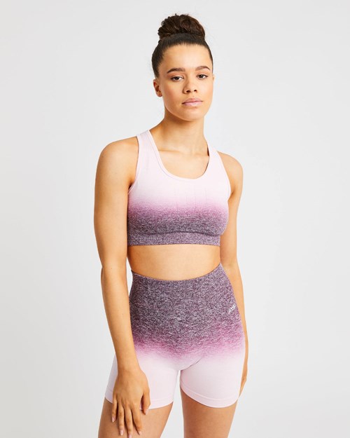 AYBL Pulse Ombré Seamless Sports Bra Plum | 0536-IVLZA