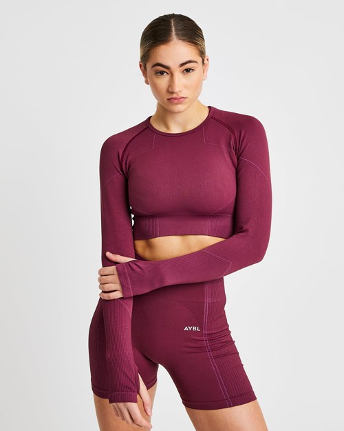 AYBL Reflex Seamless Long Sleeve Crop Top Plum | 1742-CVLTZ