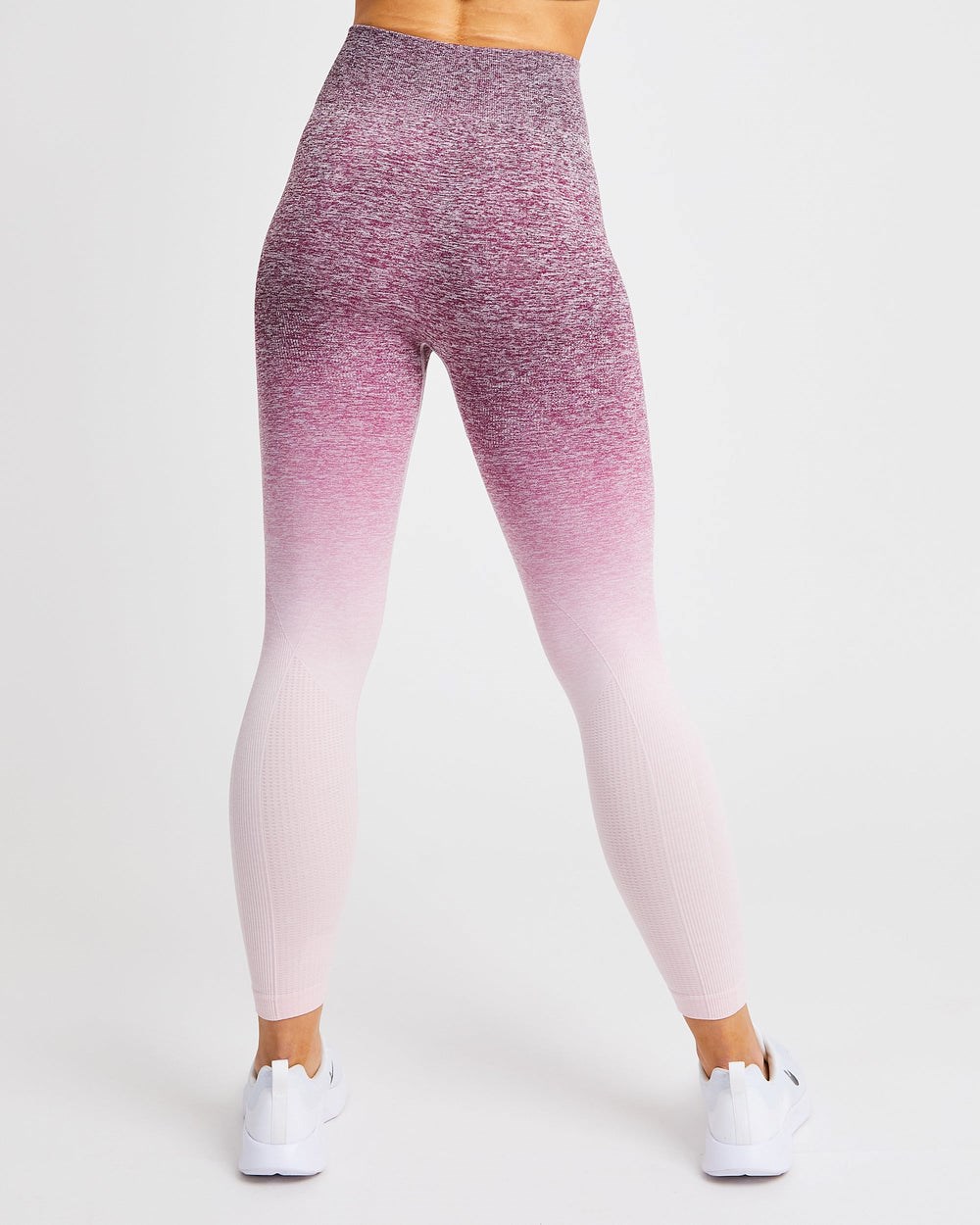 AYBL Pulse Ombré Seamless Leggings Plum | 4692-GFDMP