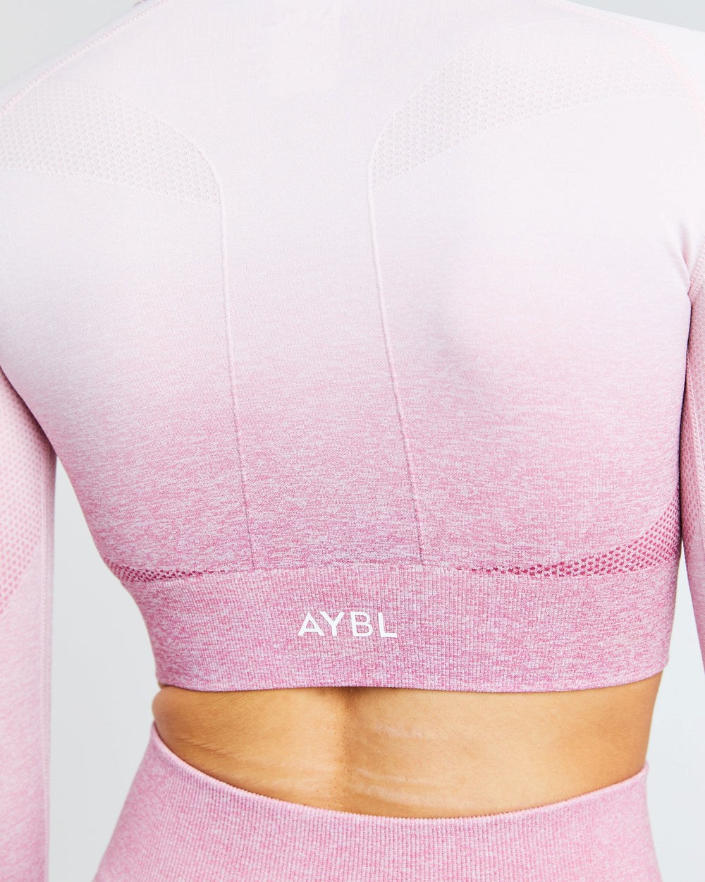 AYBL Pulse Ombré Seamless Long Sleeve Crop Top Rosa | 0765-SFWBL